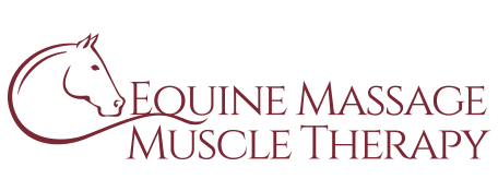 Equine Massage Muscle Therapy